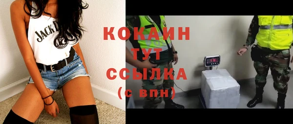 твердый Абаза