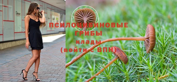герыч Сафоново