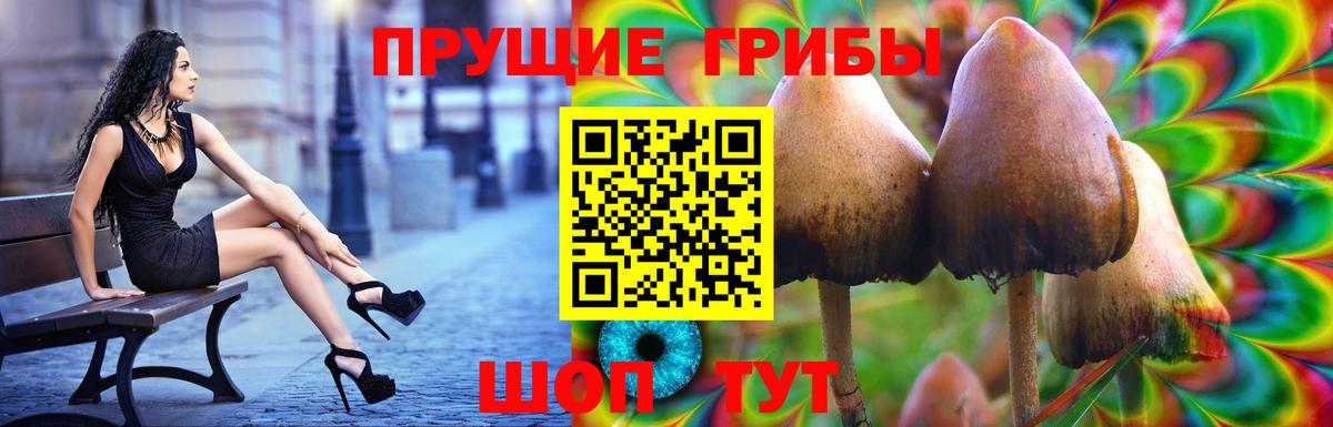Галлюциногенные грибы Magic Shrooms  Вход с VPN  Стрежевой  Галлюциногенные грибы ЛСД 