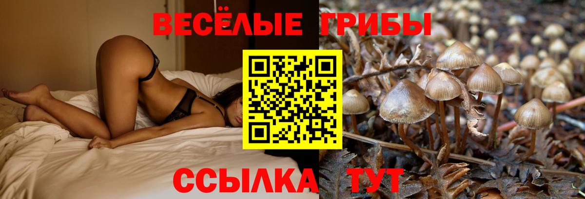 Псилоцибиновые грибы ЛСД Стрежевой